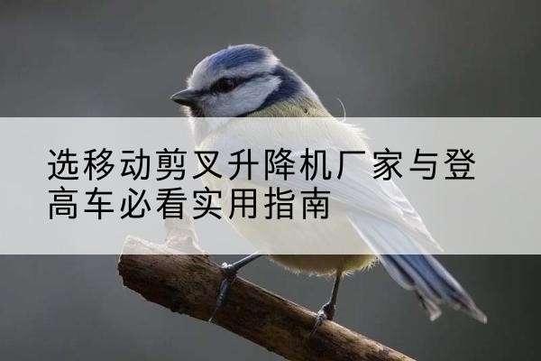 信丰电动升降机厂家-选移动剪叉升降机厂家与登高车必看实用指南