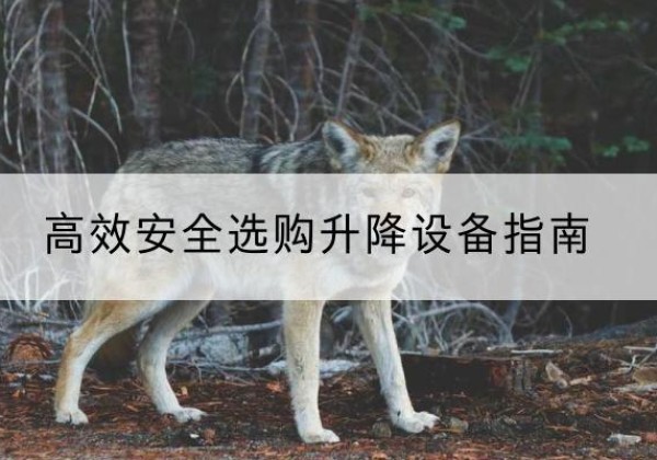 信丰升降货梯厂家推荐-*安全选购升降设备指南
