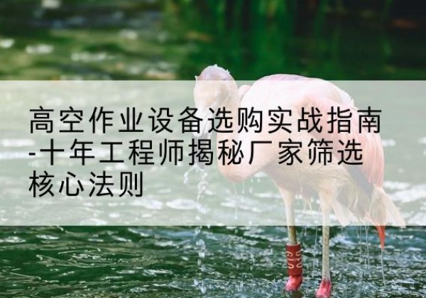 信丰剪叉式升降机厂家-高空作业设备选购实战指南-十年工程师揭秘厂家筛选核心法则